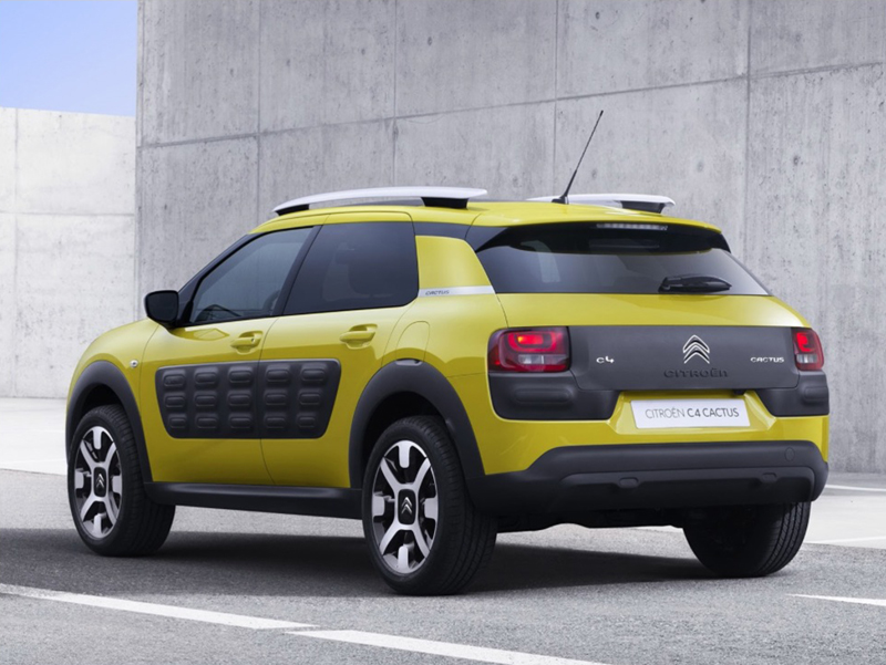 Citron C4 Cactus